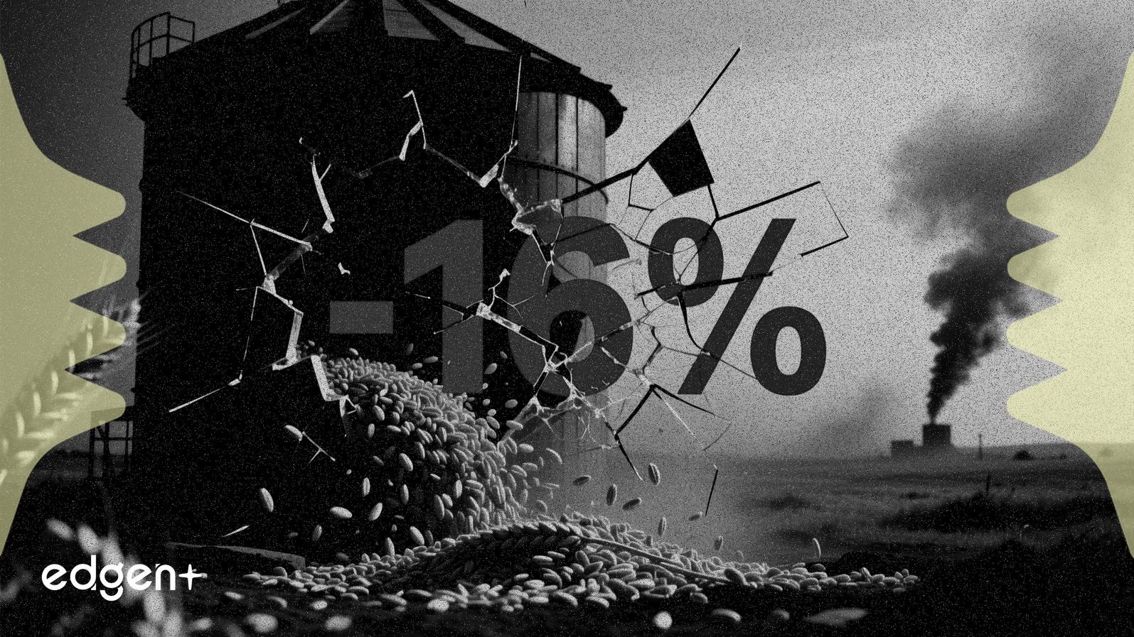 Les frappes aériennes russes réduisent de 16 % les exportations de céréales ukrainiennes en décembre