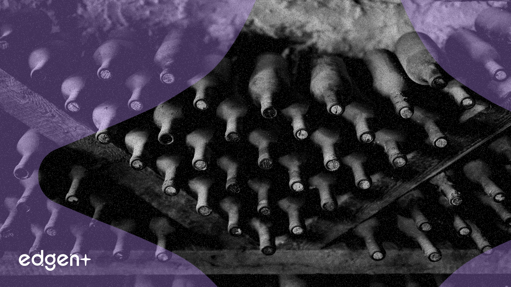 CruTrade, Avalanche Üzerinde 60 Milyon Dolarlık Envanterle Tokenleştirilmiş Özel Şarap Pazarını Başlattı