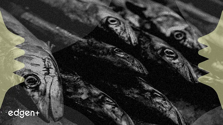 白银突破61美元,创历史性供应短缺背景下新高