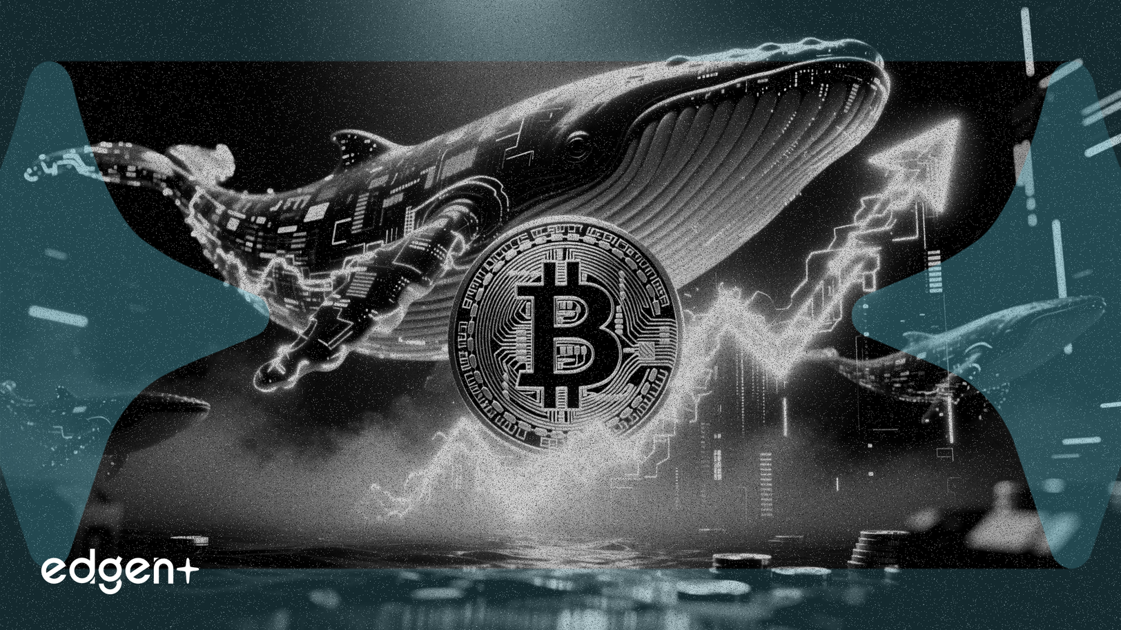 Bitcoin Balinaları, FTX'ten Bu Yana En Büyük Alımda 110.000 BTC Ekledi