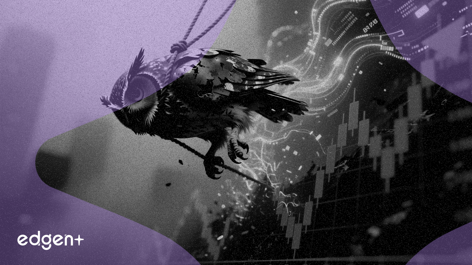 La dilución de acciones arrastra las acciones de Blue Owl un 40% desde su pico