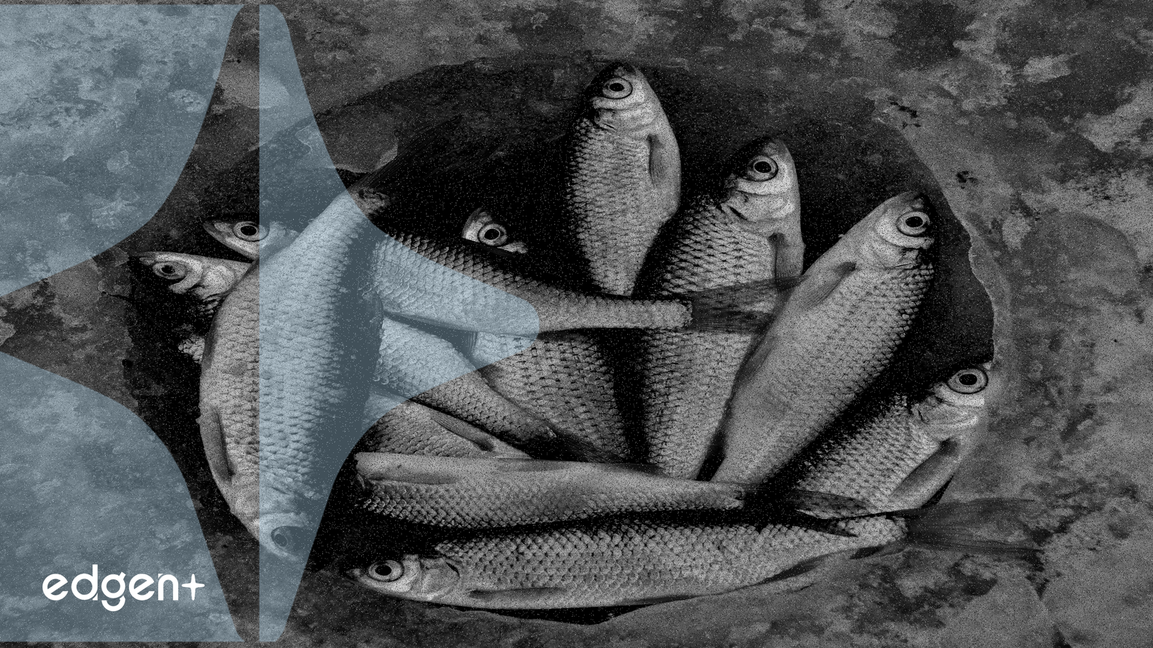 Intercontinental Exchange, Polymarket'e Yaklaşan 2 Milyar Dolarlık Yatırımla Değerlemesini 10 Milyar Dolara Çıkarıyor