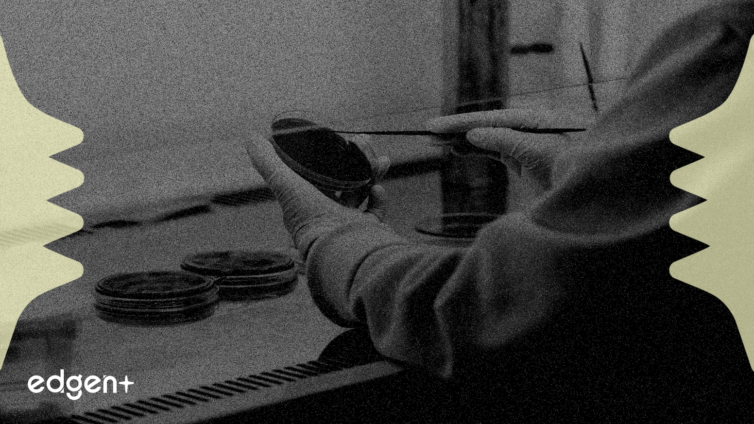 Rezubio 獲得 2000 萬美元用於推進肥胖和糖尿病藥物