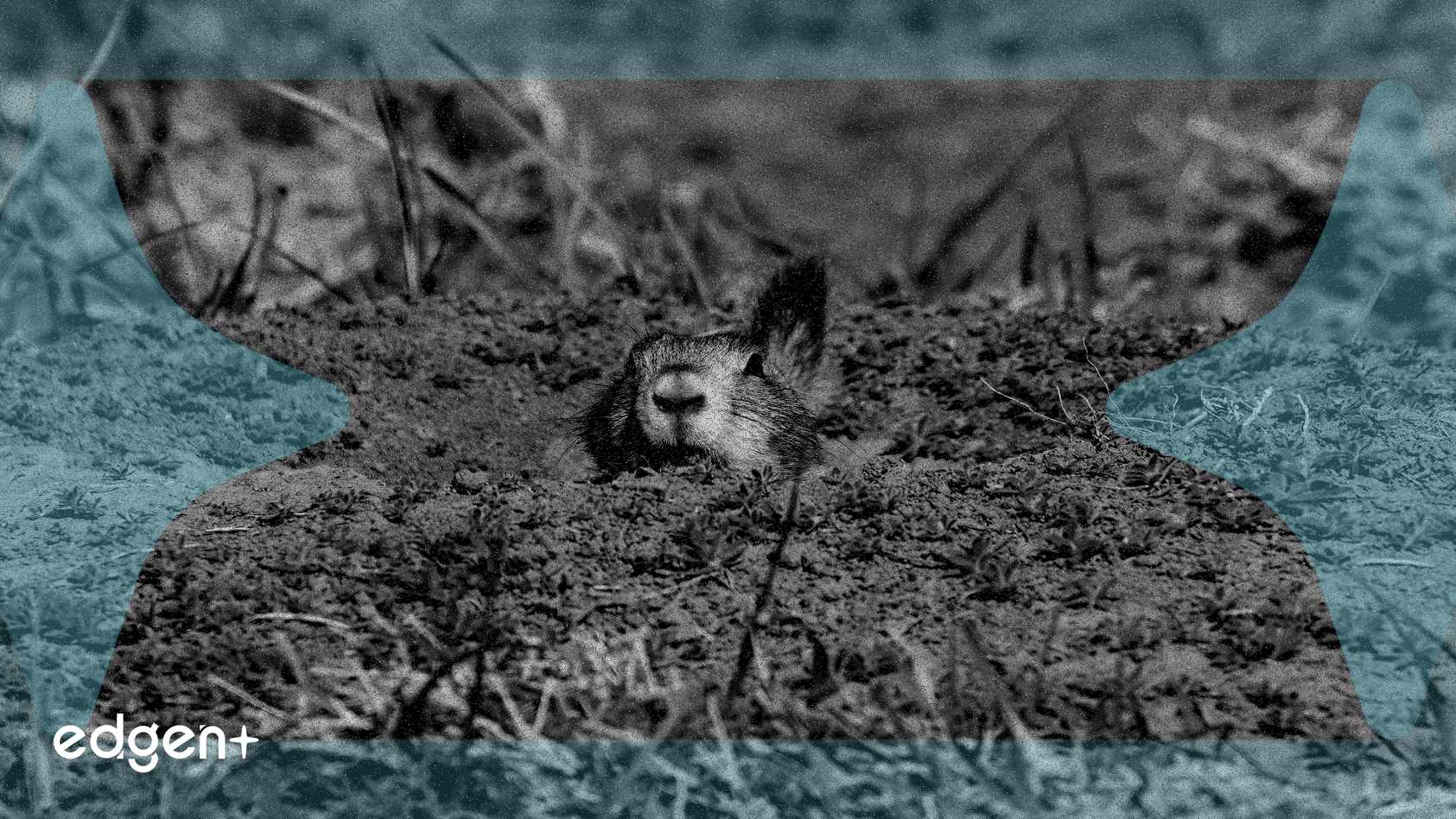 Kuzey Dakota, 2026'ya Kadar Bankalararası İşlemler İçin USD Destekli "Roughrider Coin" Planlıyor