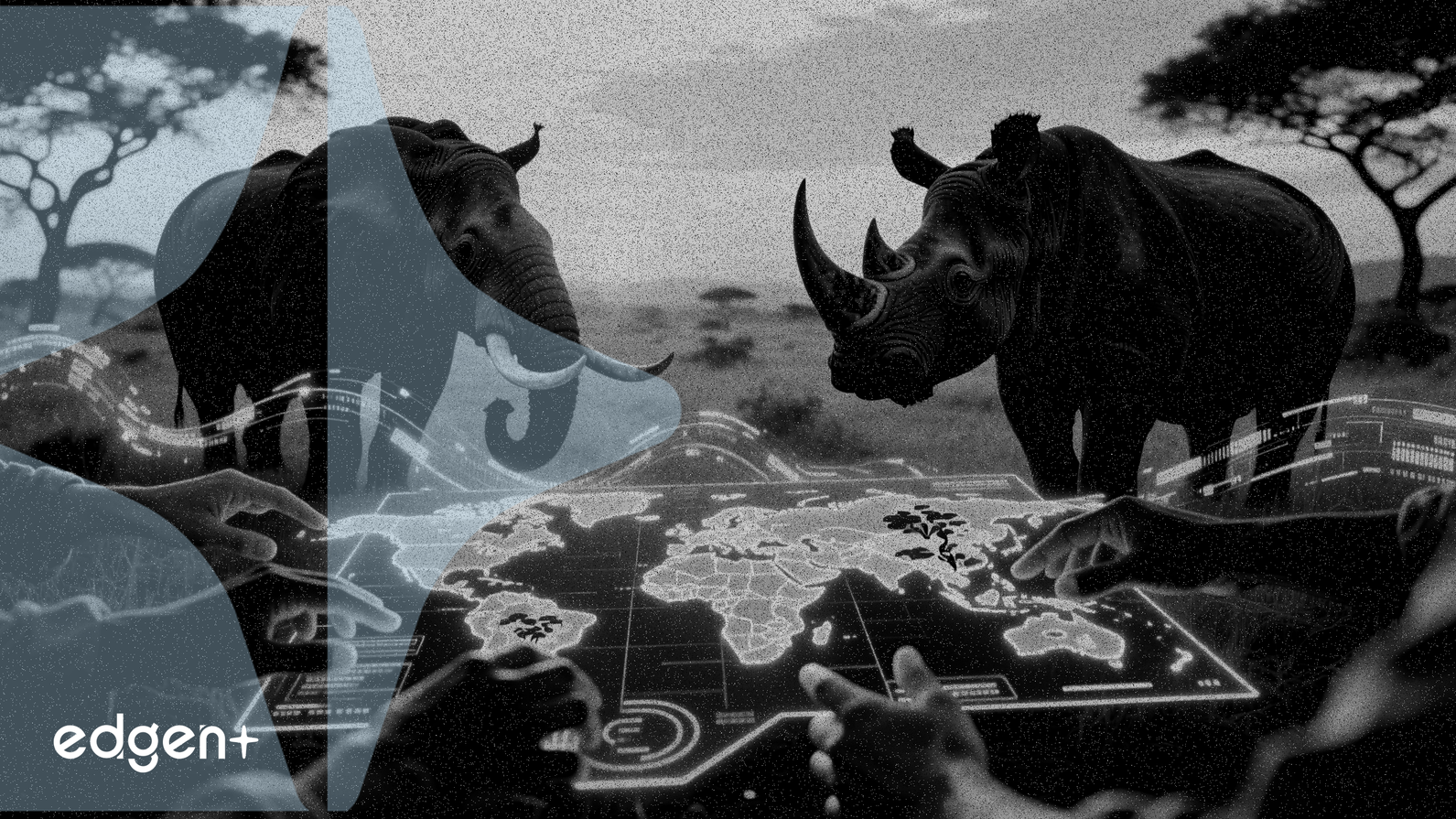 Cisco ve CCF, Afrika Koruma Teknolojisi için 529 Teknisyen Eğitti