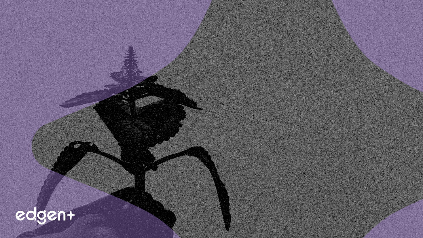 Organigram Taps Tobacco Executive as CEO to Drive Global Expansion