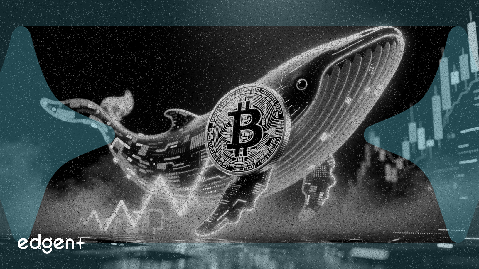 Ballenas de Cardano compran 819 millones de ADA, señalando un rebote de precios