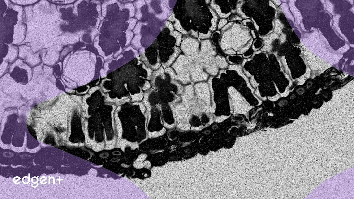 Gilead Sciences tăng trưởng sau kết quả thử nghiệm lâm sàng tích cực và giải quyết tranh chấp bằng sáng chế