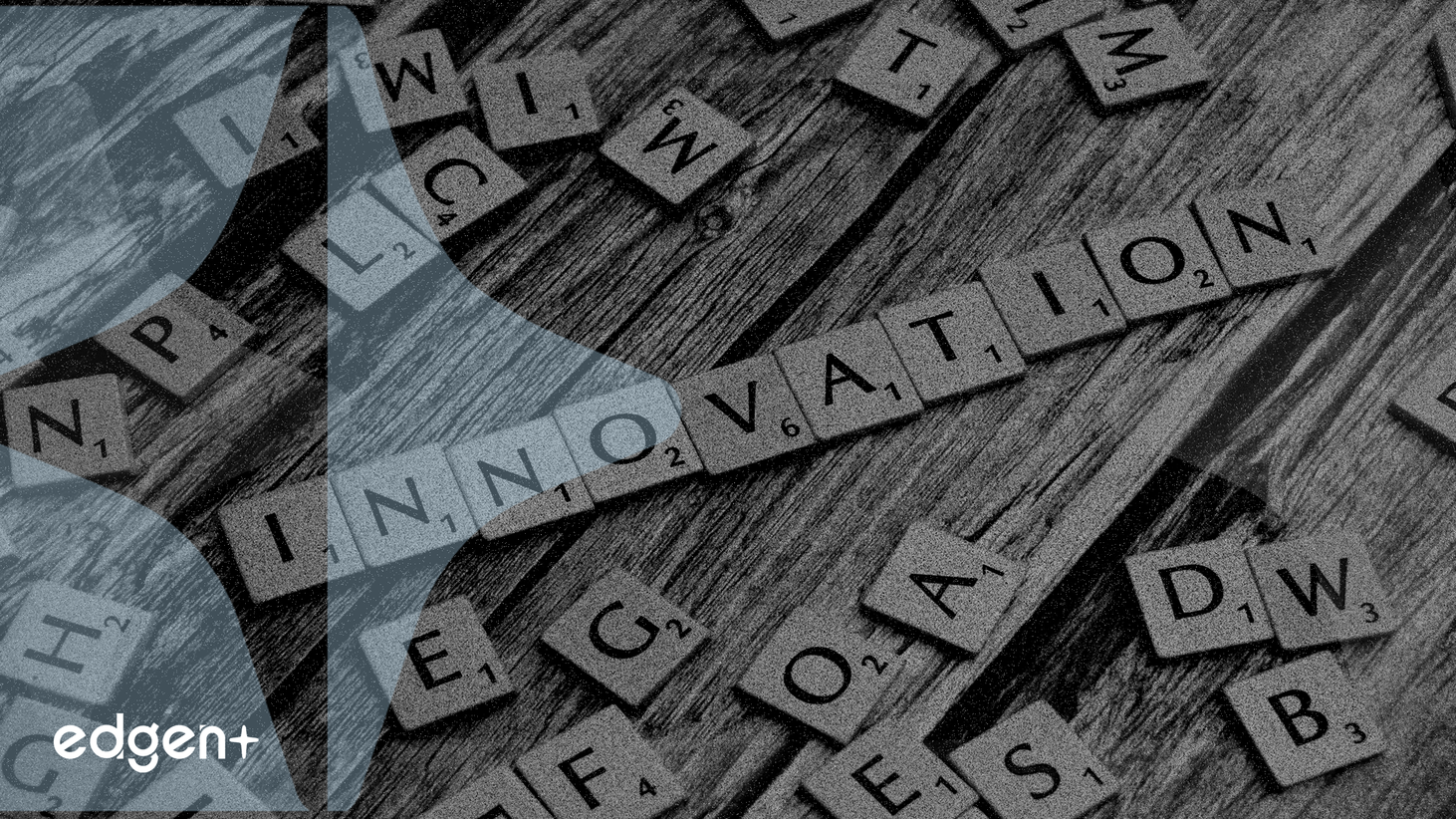 AOUT Innovation Strategy Lifts Stock Despite Sales Dip