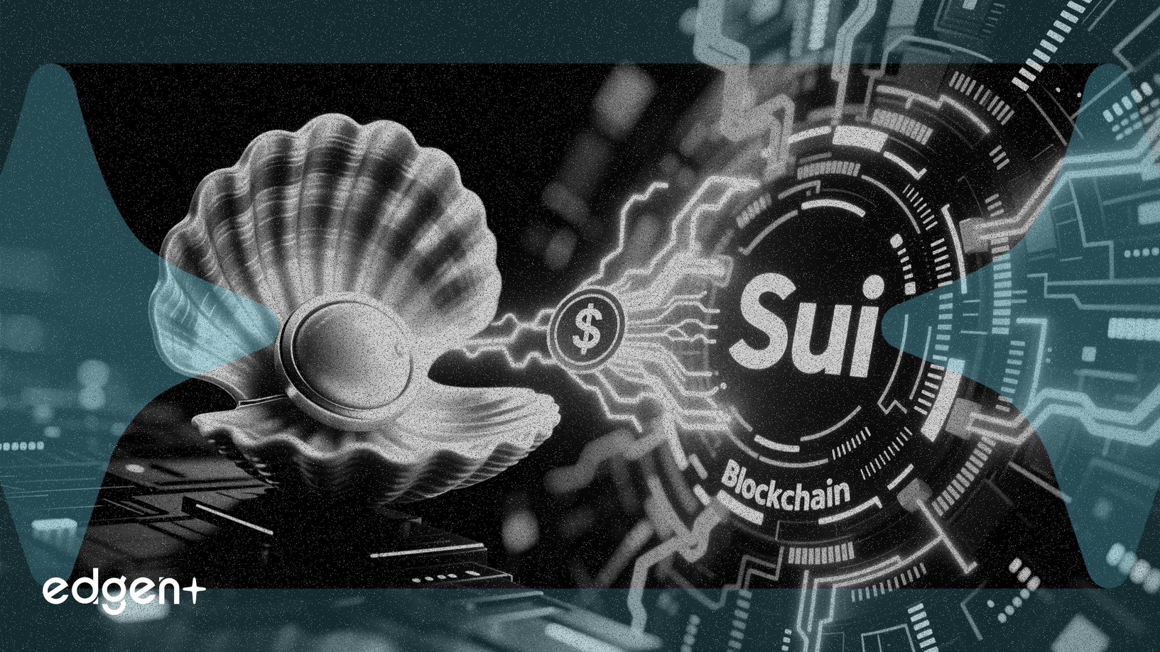 Scallop implementa préstamos flash para reforzar su presencia en Sui DeFi