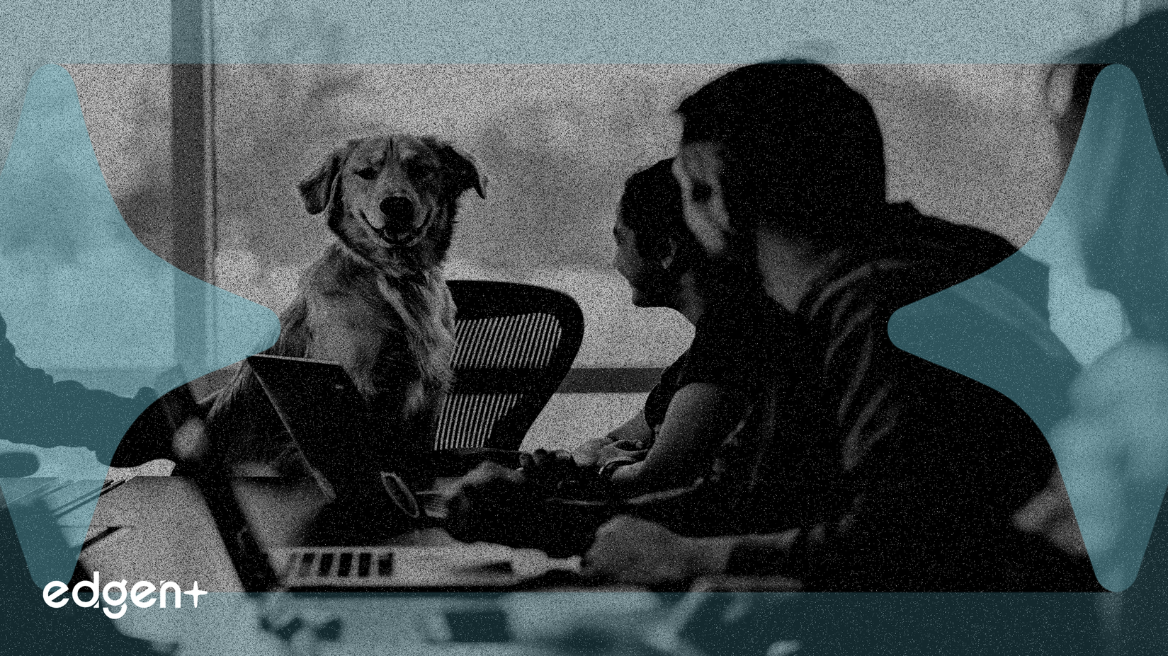 Elanco 執行長購買了價值 478,500 美元的公司股票