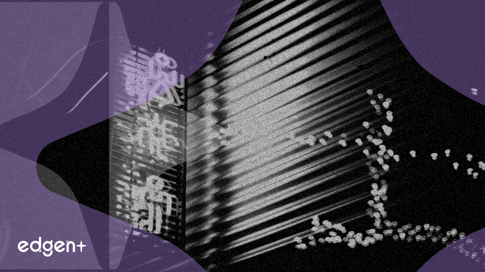 隨著中國「光智」晶片挑戰英偉達，AI股票下跌