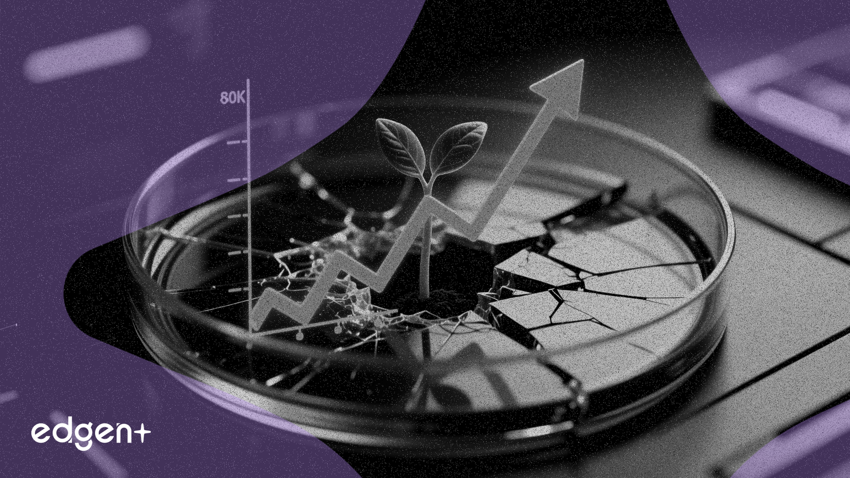 アボットの取引、安全審査の中で成長の兆し