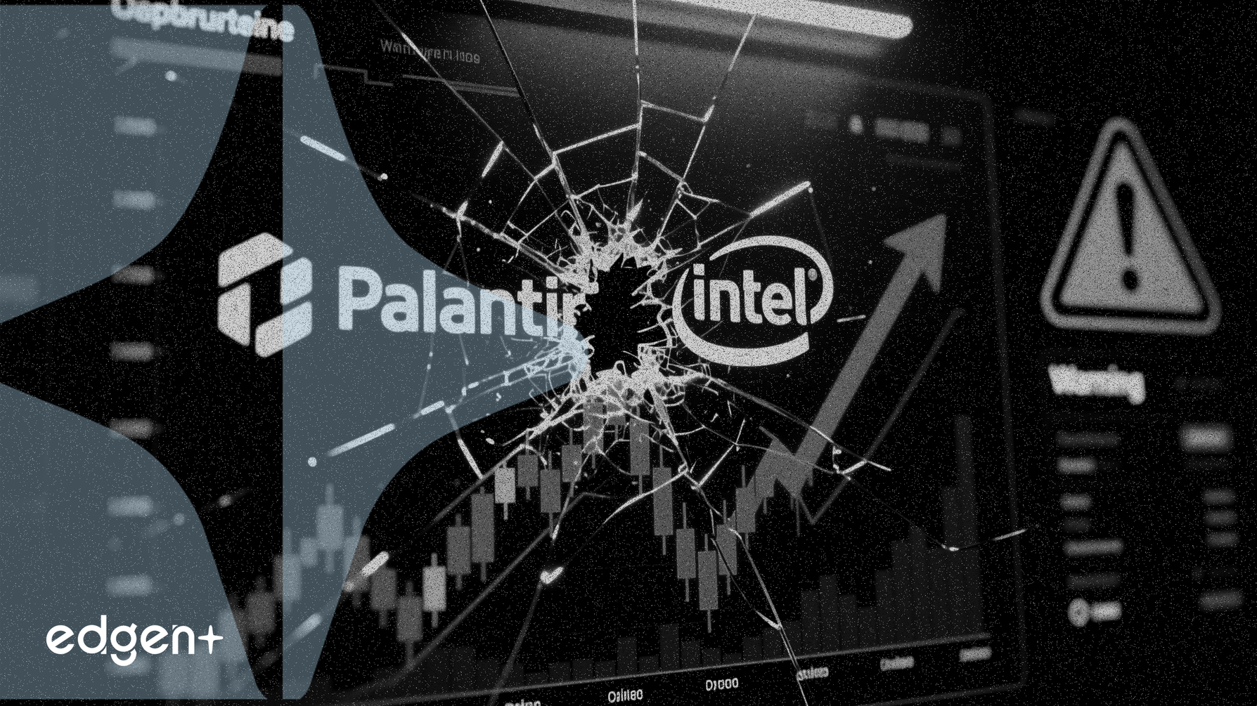 Palantir e Intel se enfrentan a un riesgo de caída del 50-72%, advierten analistas