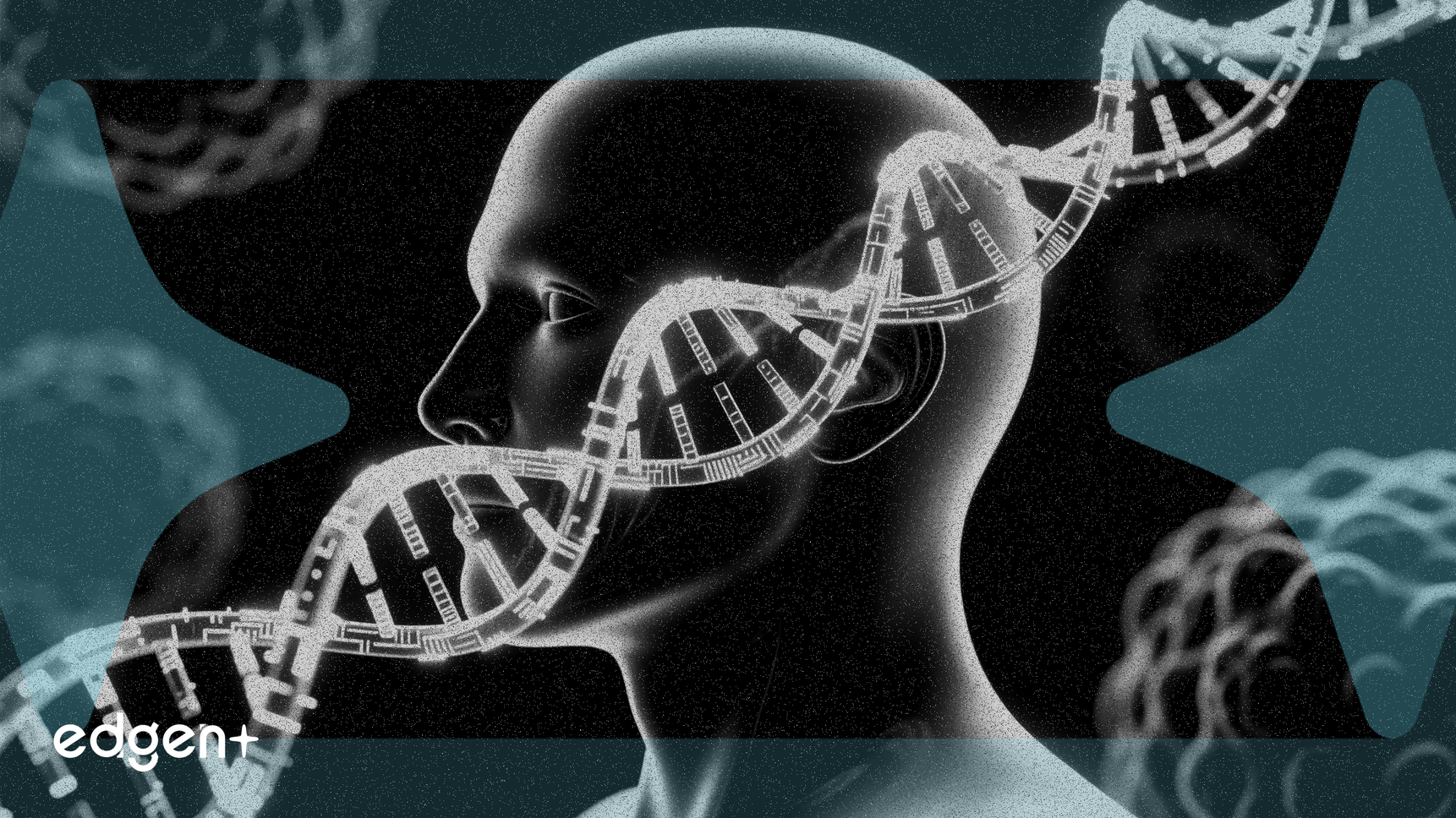 Bicara Publica Datos Positivos para su Fármaco Contra el Cáncer de Cabeza y Cuello