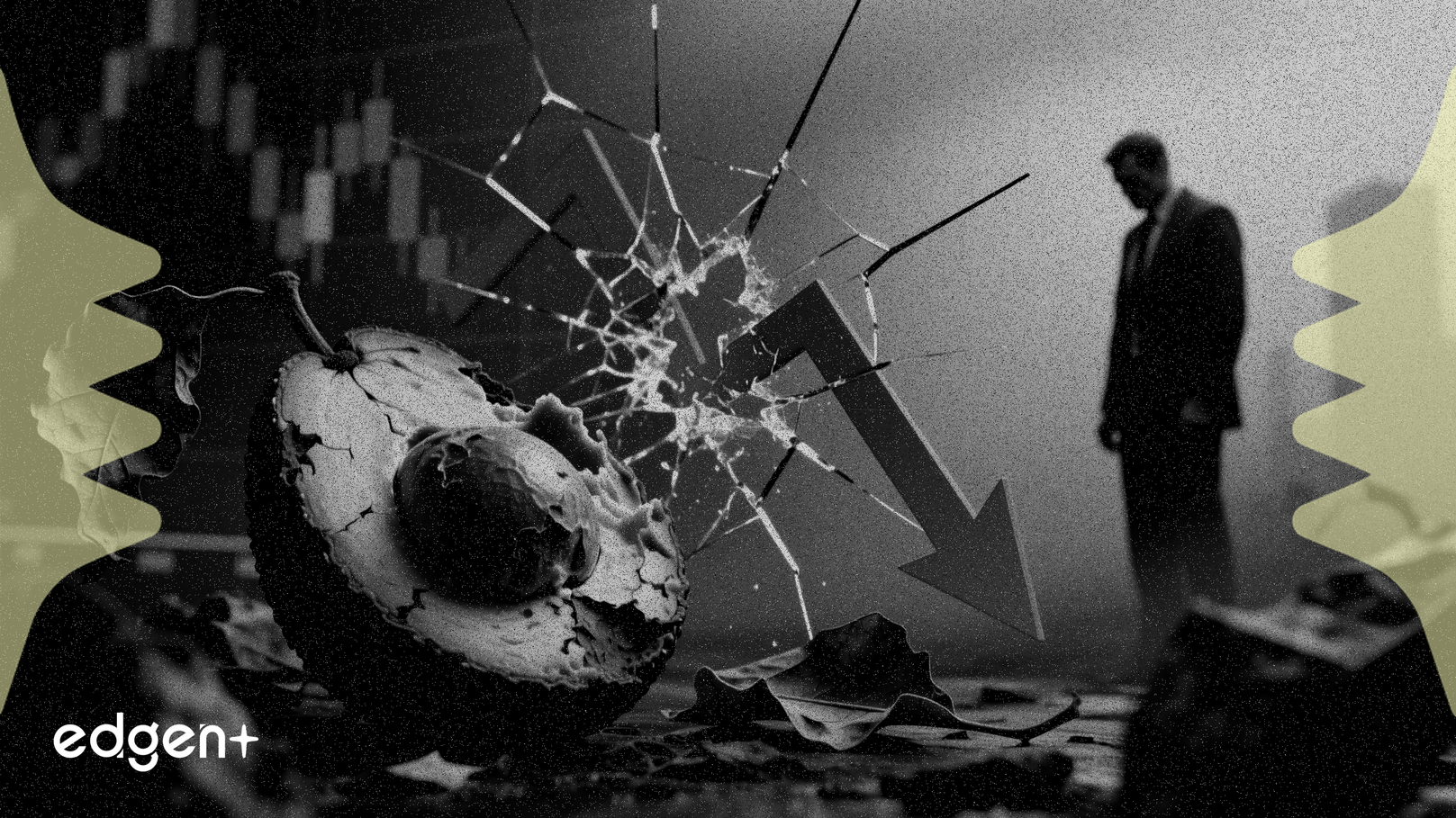 아보카도 전략이 인내심을 시험하며 리모네이라 주가 38% 급락