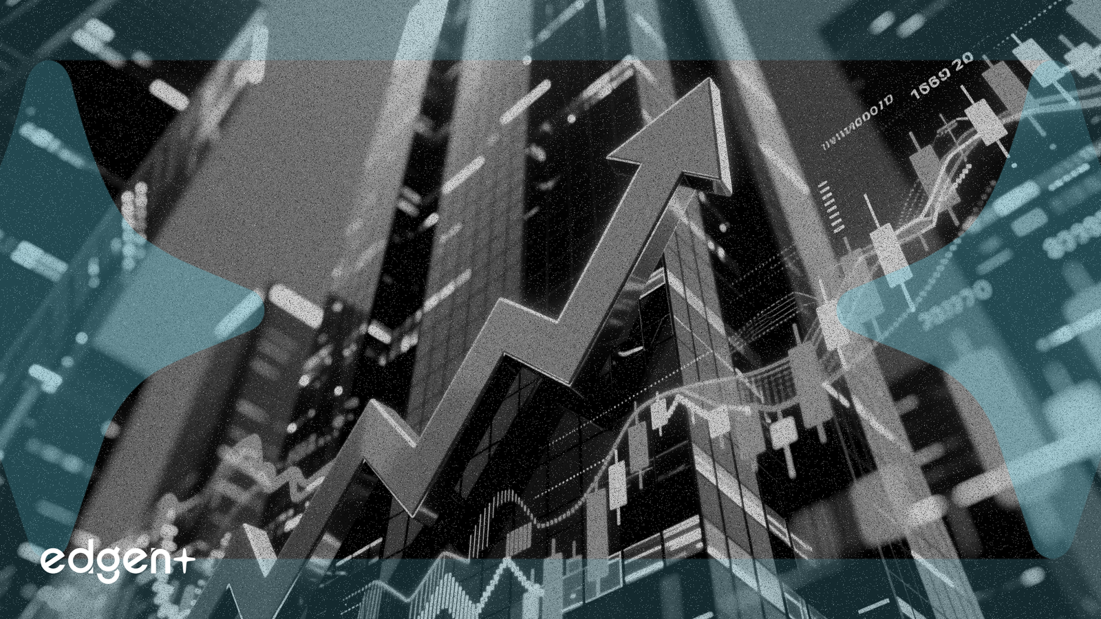 Interactive Brokers 第四季度营收增长 17.3% 后股价攀升