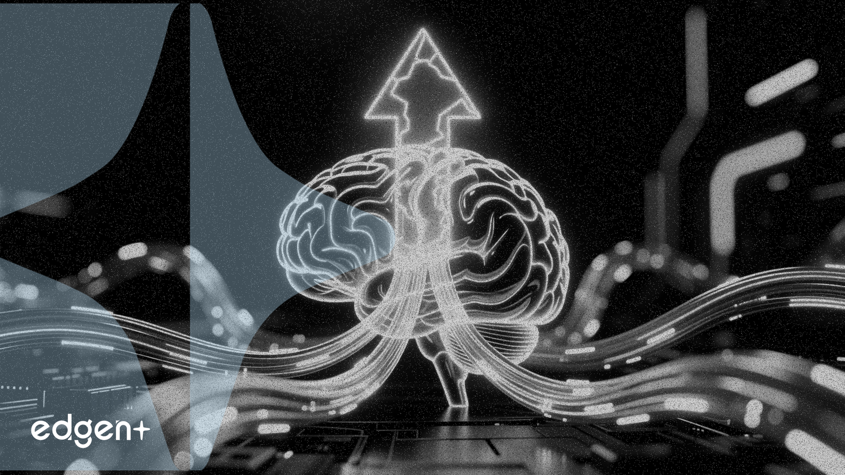 Nomura mejora la calificación de Yangtze Optical Fibre por la previsión de demanda de IA