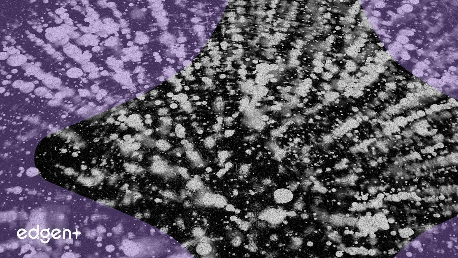 Circle의 코인베이스 해킹 자금 비효율적 동결, 논란 증폭