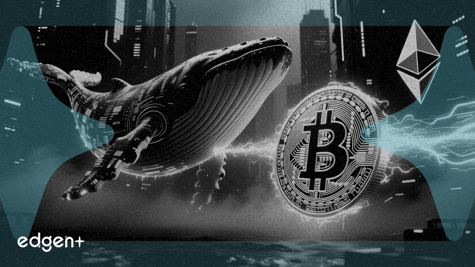 巨鲸将1.76亿美元从比特币转至以太坊