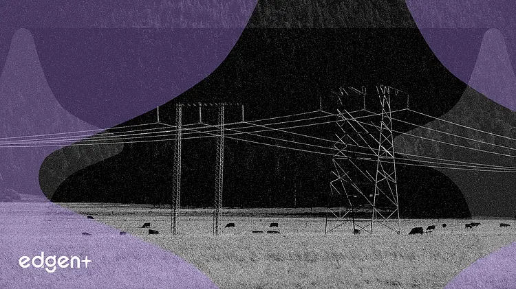 AI Power Demand Fuels Hard Asset Rotation