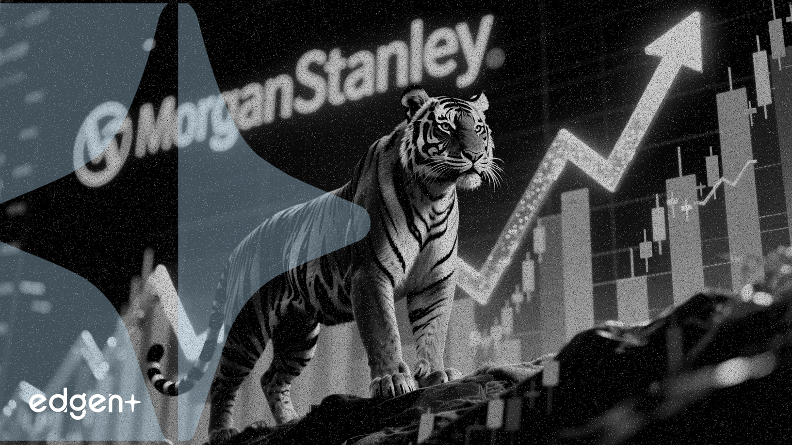 Tigermed Hisseleri, Morgan Stanley'nin İyimser Raporuyla %8'in Üzerinde Yükseldi