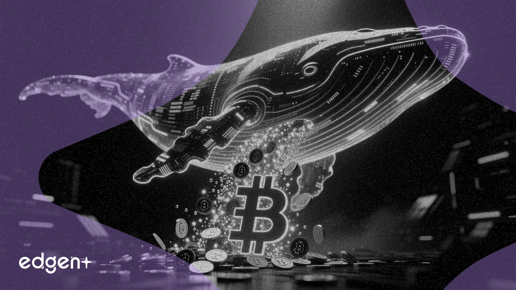 미스터리 고래, 코인베이스 지갑 통해 616억 SHIB 이동