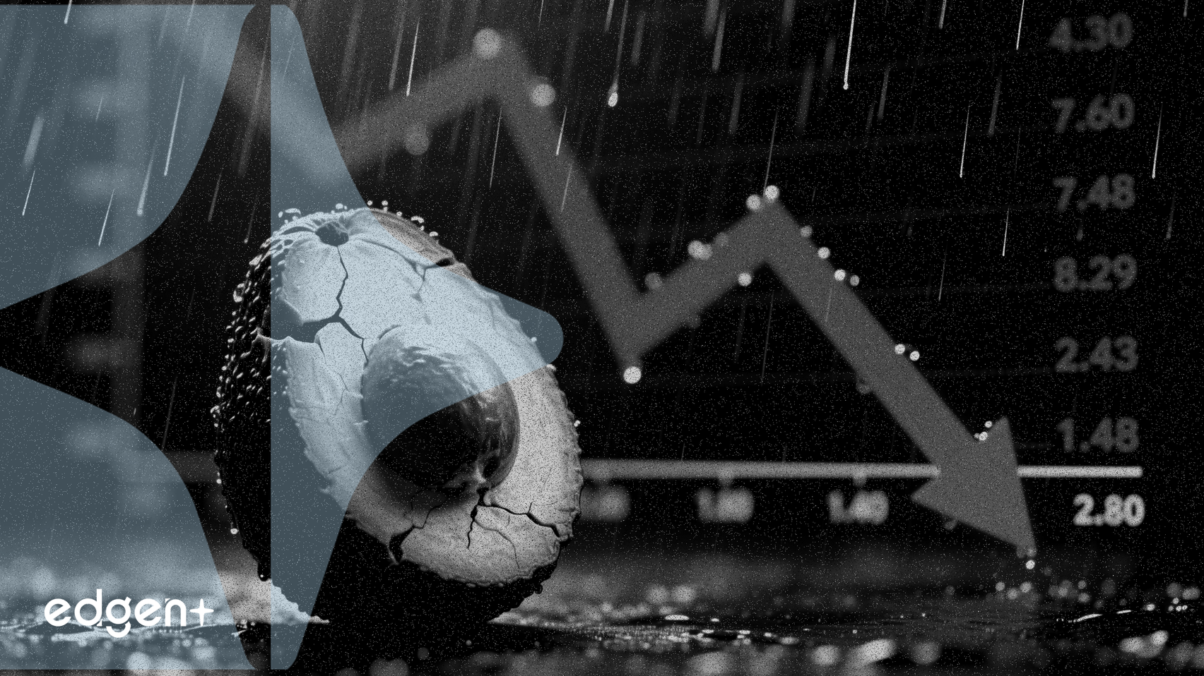 매출 급증 후 Mission Produce, 10% 이익 감소에 직면