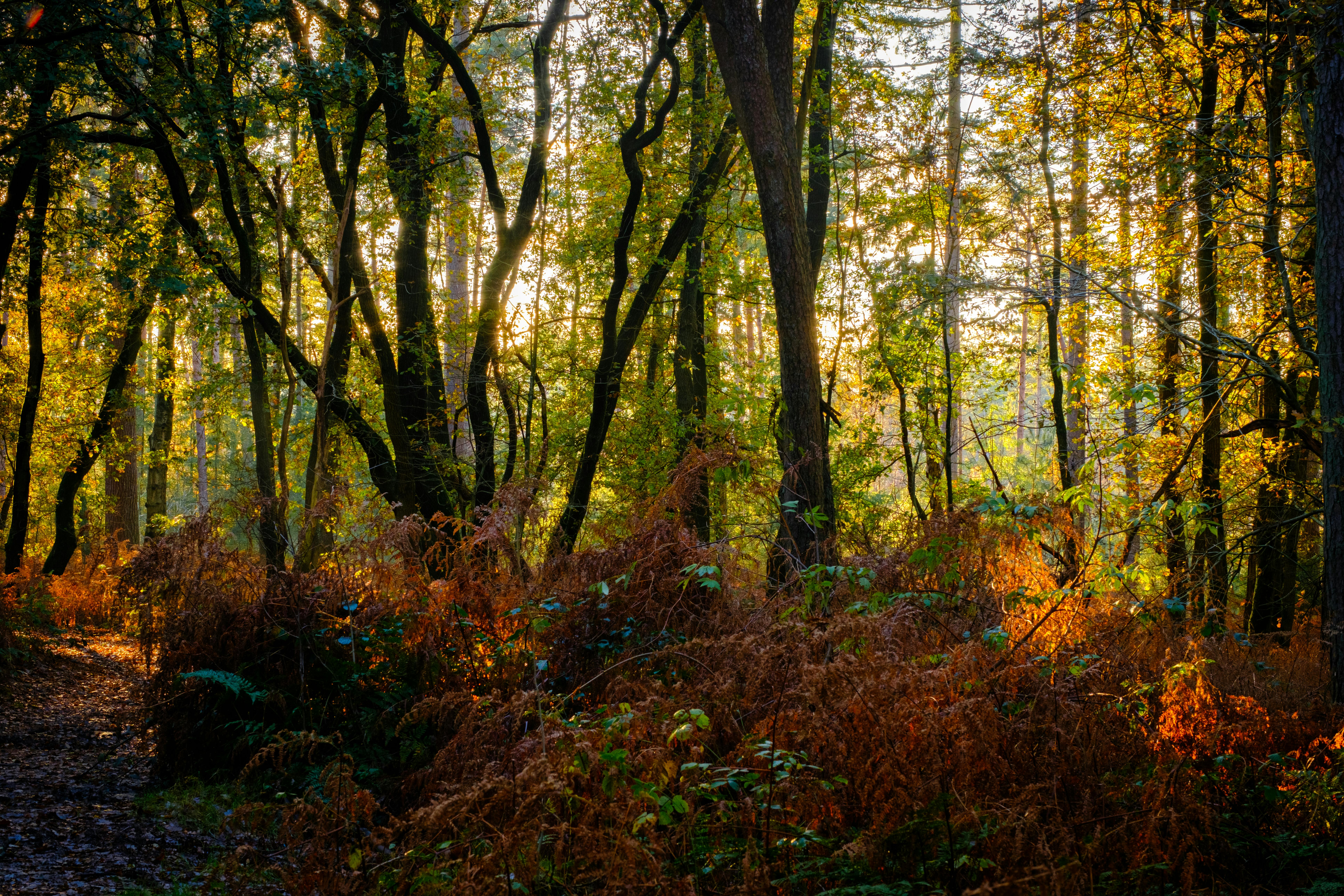 Tether Considers Gold Mining Investments Amid $8.7 Billion Gold Reserves