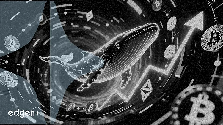 巨鯨買入5500萬美元加密貨幣,預示市場信心