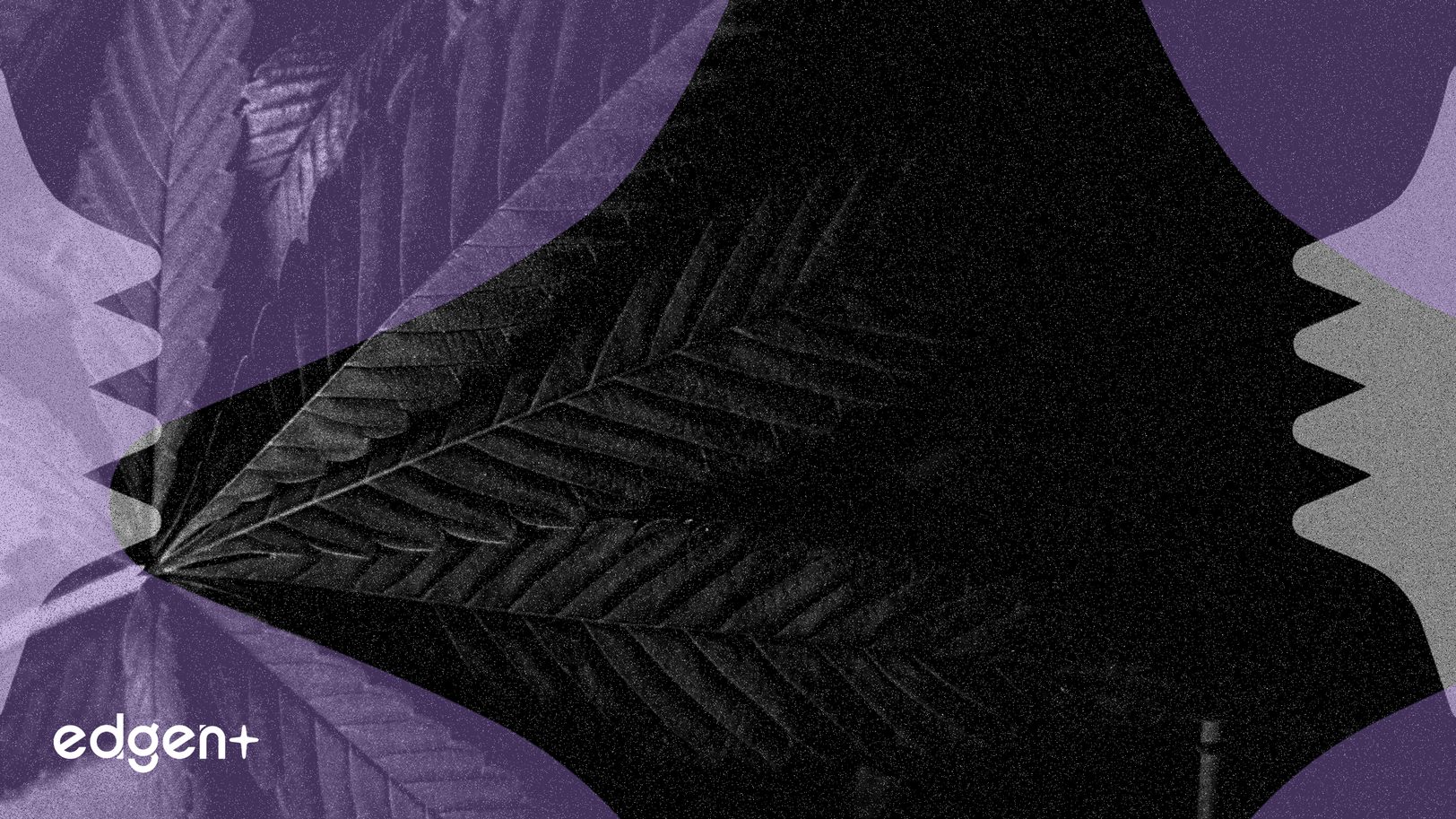 Tilray Stock Drops 4.2% as Cannabis Rescheduling Disappoints