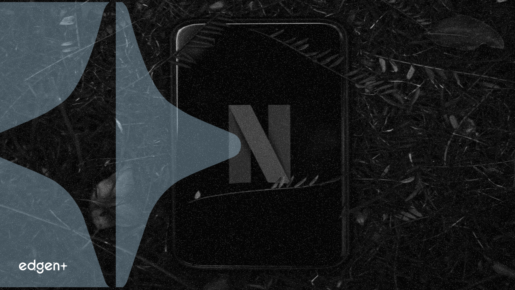 百威英博與Netflix建立全球合作夥伴關係