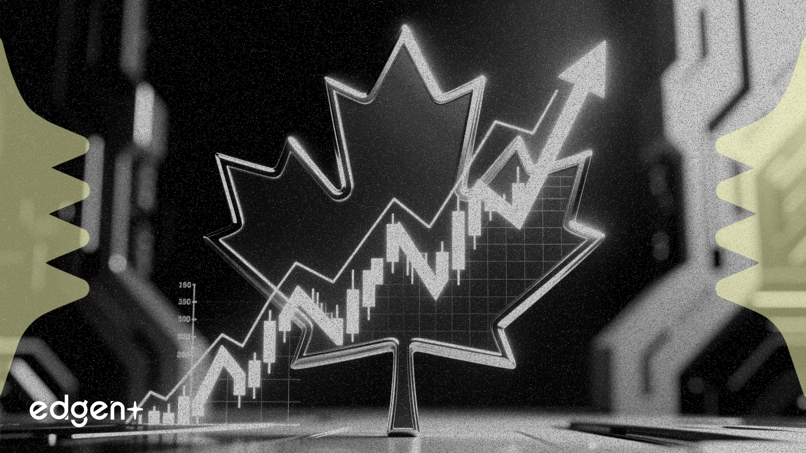 加拿大新国防战略推动本土股票上涨86%