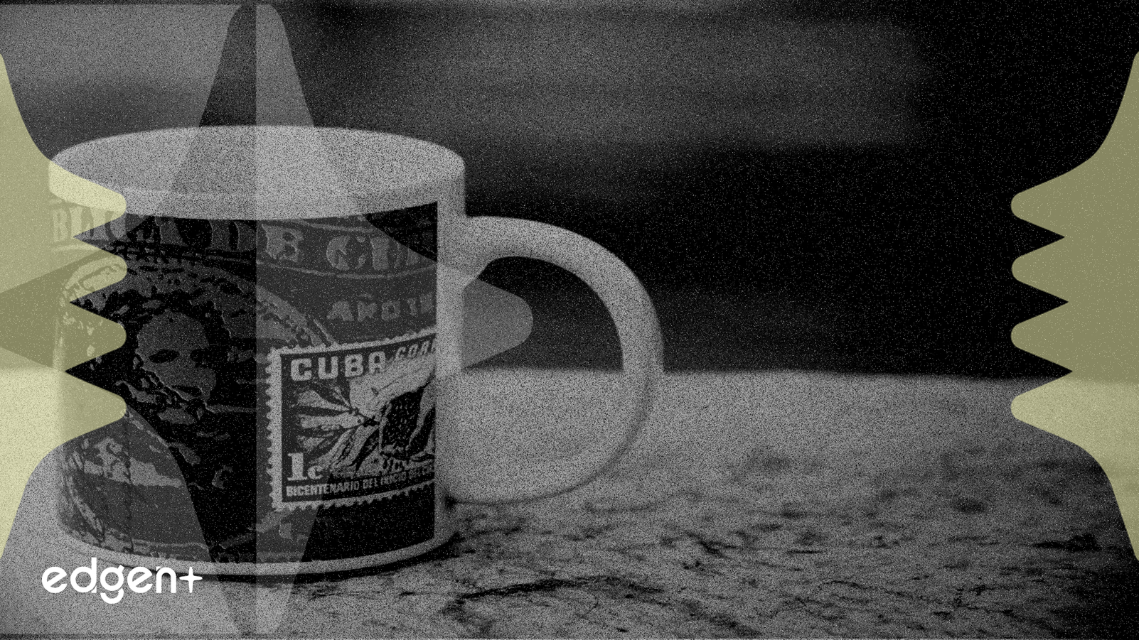 Dutch Bros renforce son expansion grâce à une réserve de liquidités de 706 millions de dollars