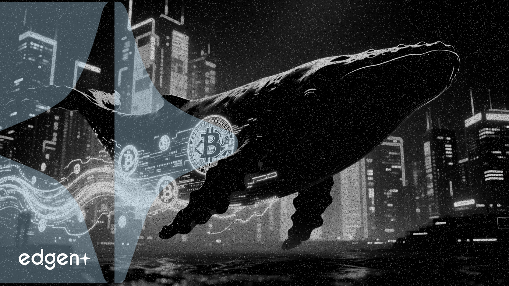 2016年比特币巨鲸转移$1.03亿的1,087枚比特币