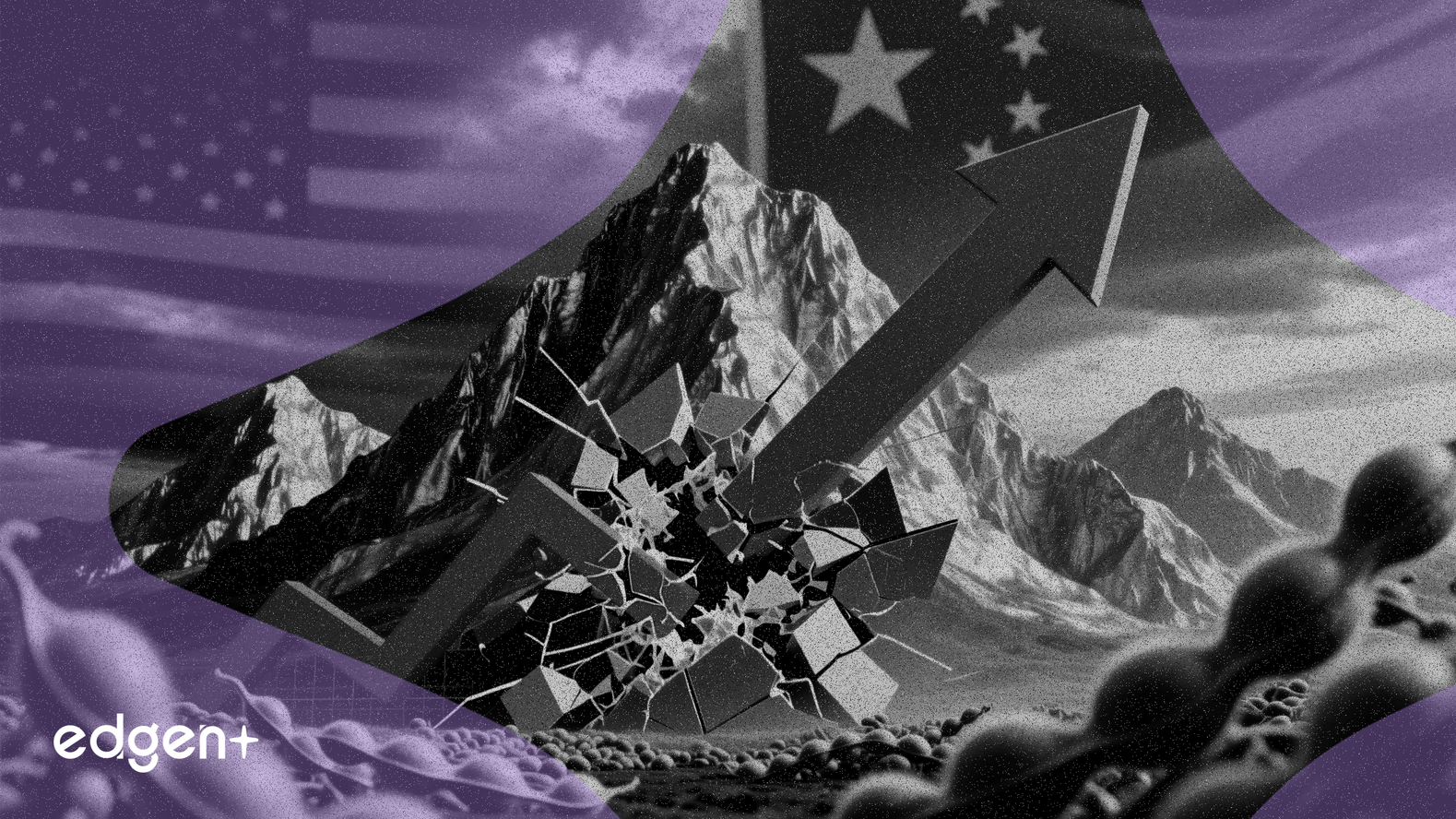 China compra 600.000 toneladas de soja estadounidense, desafiando la desaceleración de las exportaciones