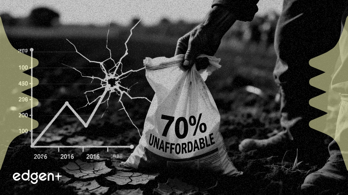 70% nông dân Mỹ không đủ khả năng mua các loại phân bón thiết yếu cho năm 2026