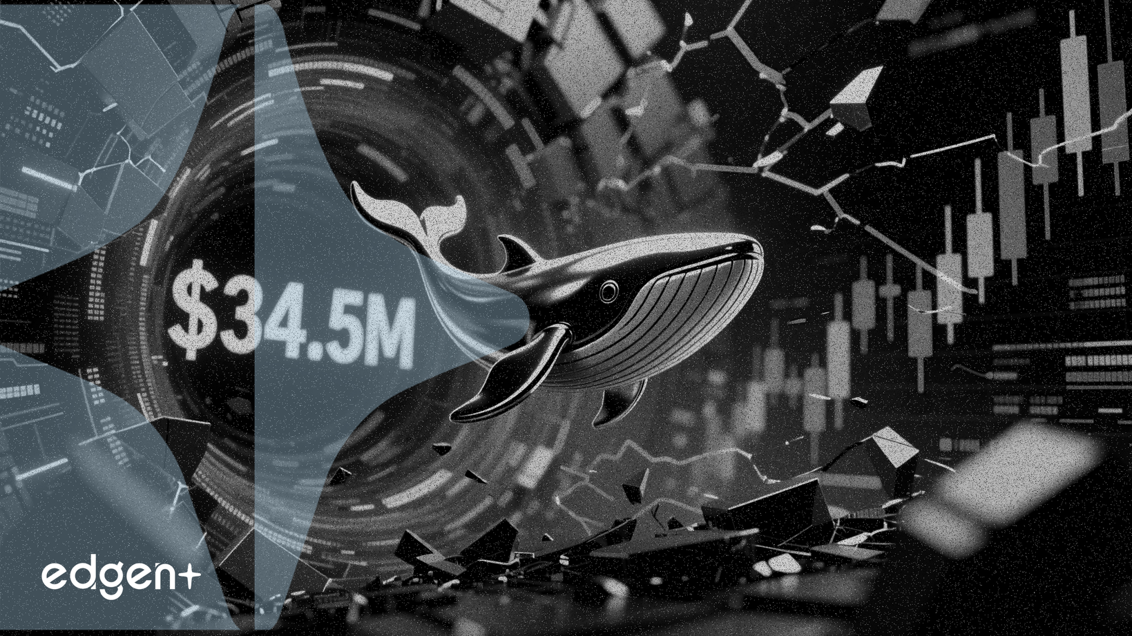 Une baleine XRP évite de justesse une liquidation de 34,5 millions de dollars alors que le prix approche 1,66 $