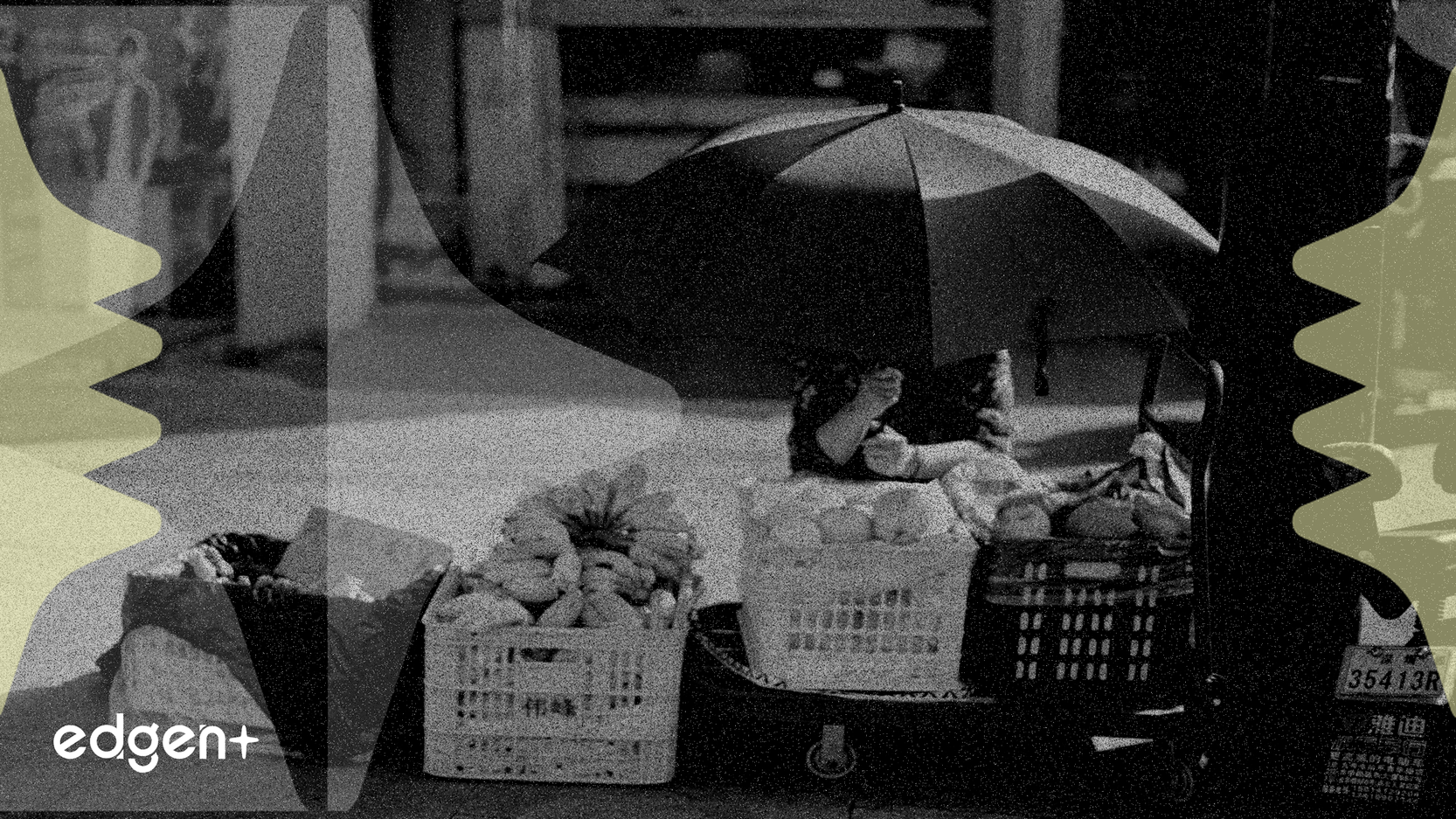 Procter & Gamble designada como acción 'caballo oscuro' para 2026