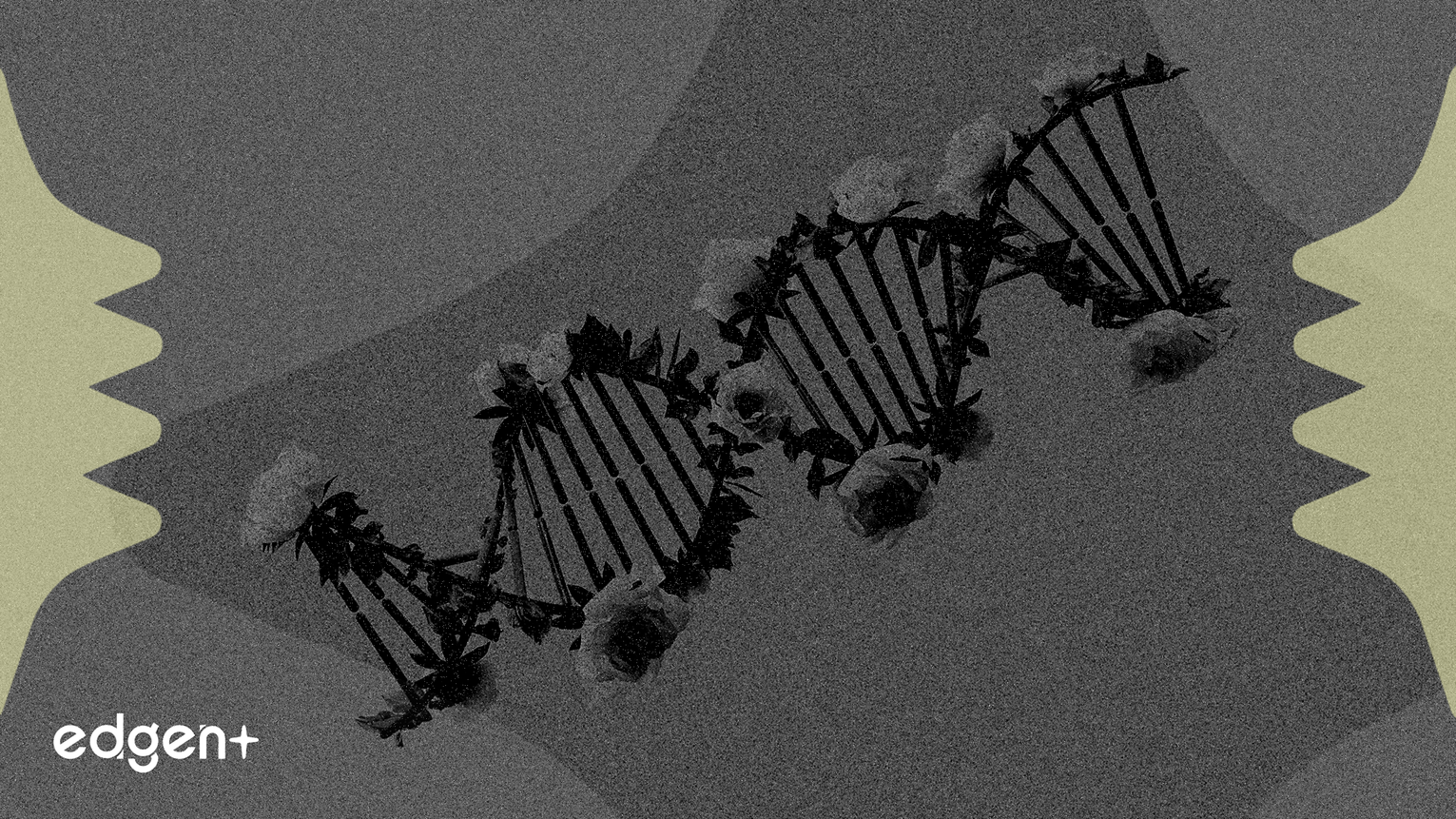 CRISPR Yeni Kolesterol İlacı ile Kitle Pazarını Hedefliyor