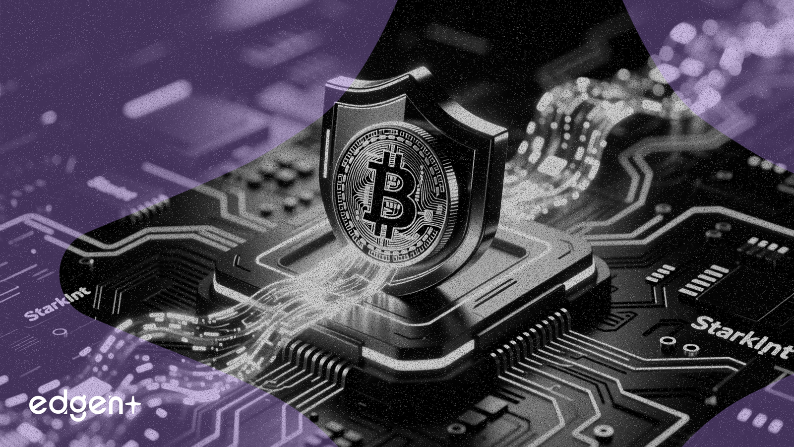 Starknet lanza strkBTC para DeFi de Bitcoin privado