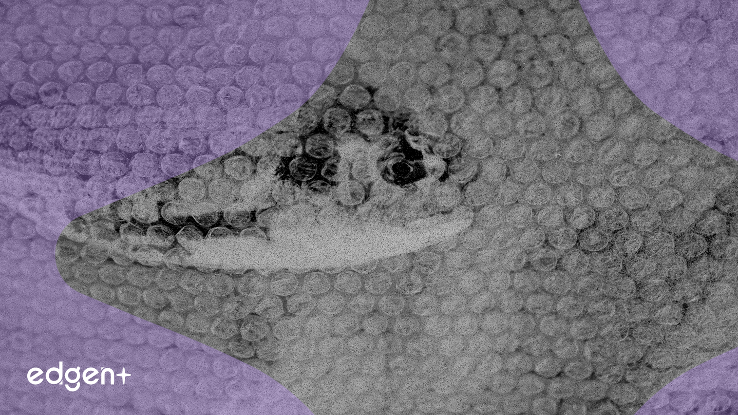 Ocean Protocol Foundation Withdraws from ASI Alliance, Leaving 270 Million OCEAN Unconverted