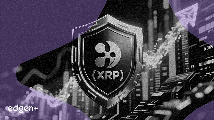 瑞波通过投资者保护措施获得5亿美元融资