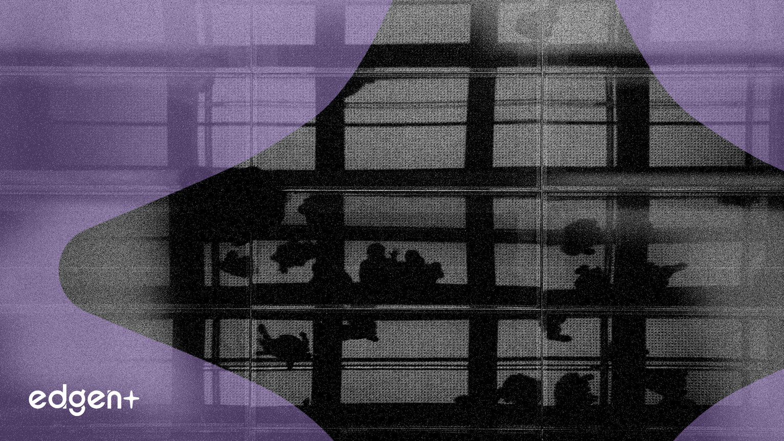 Fundador de Lululemon enciende una lucha en la junta mientras las ventas en América caen un 2%