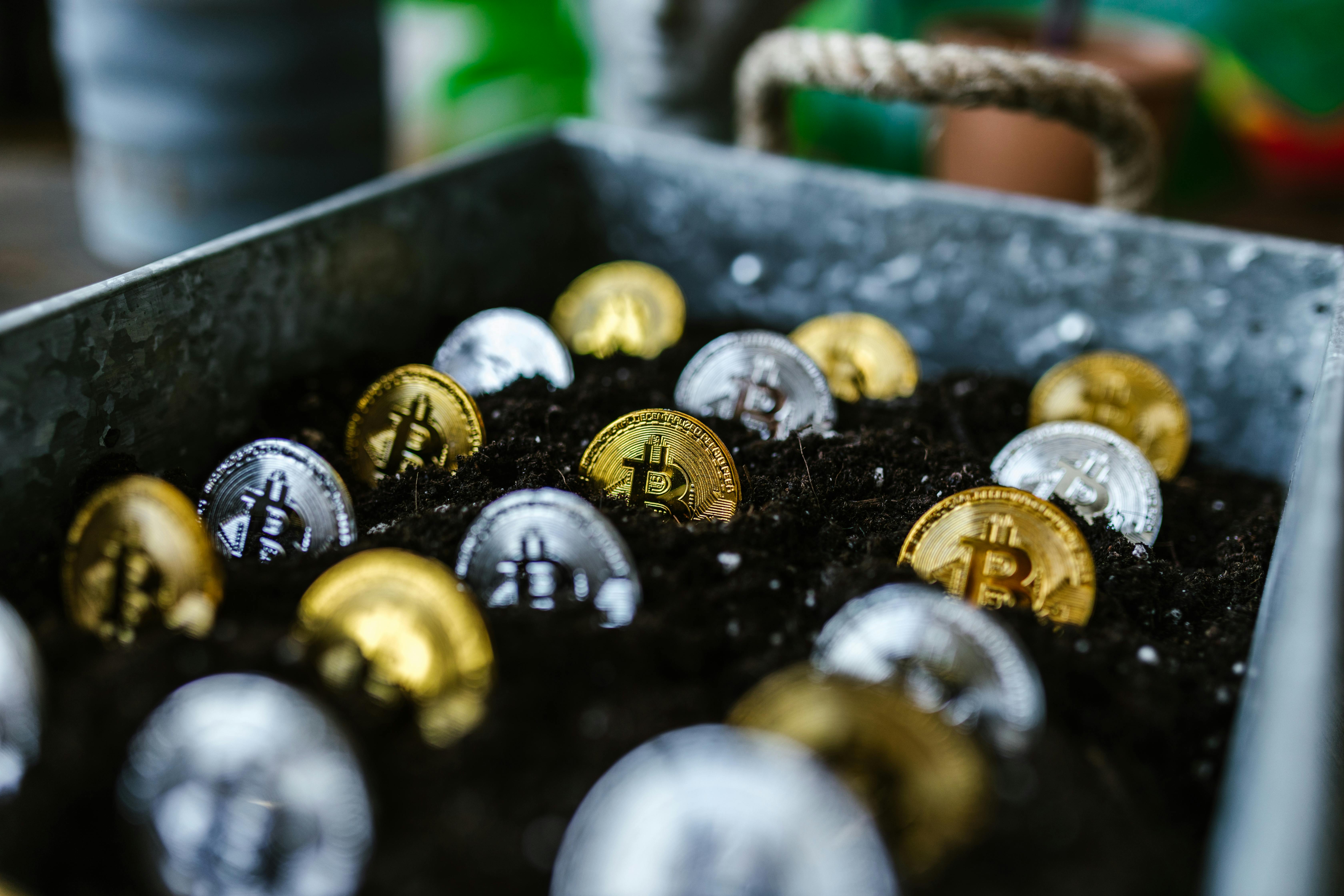 Stablecoin Ascendancy Challenges Native Token Value Proposition in Crypto Markets