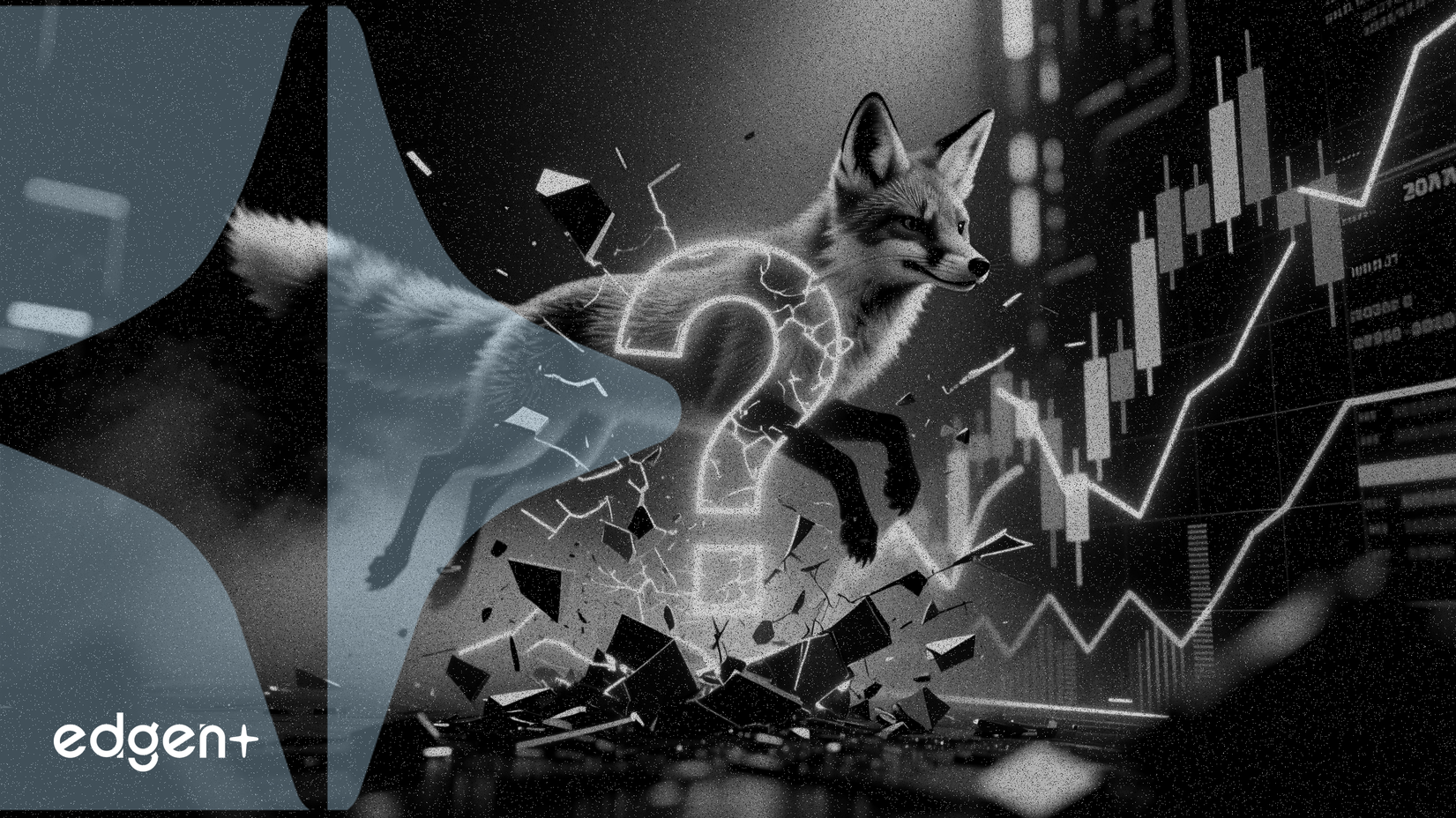 Le gain de 50,5 % de Fox en 2025 crée un dilemme d'évaluation