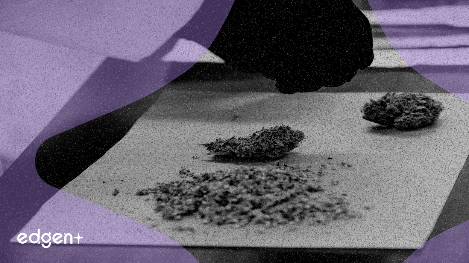 ACADIA Pharmaceuticals, Ticari Gücünün Ortasında Boru Hattı Aksaklığını Aşıyor