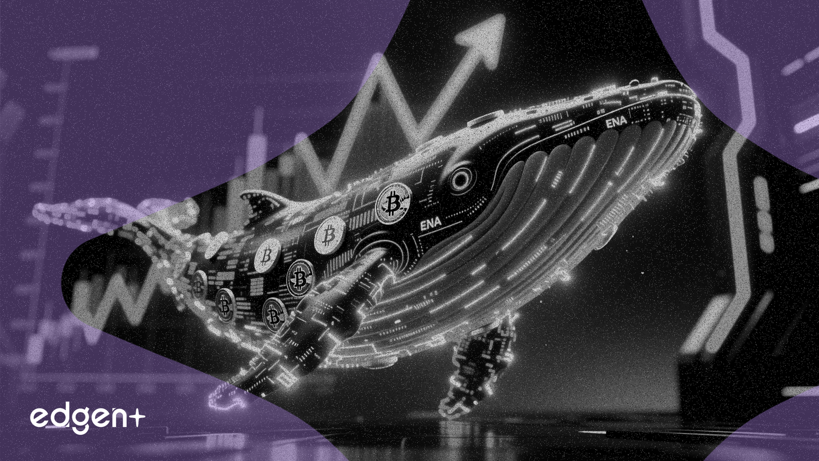 Ethena (ENA) gana un 10% al intensificarse la acumulación de ballenas