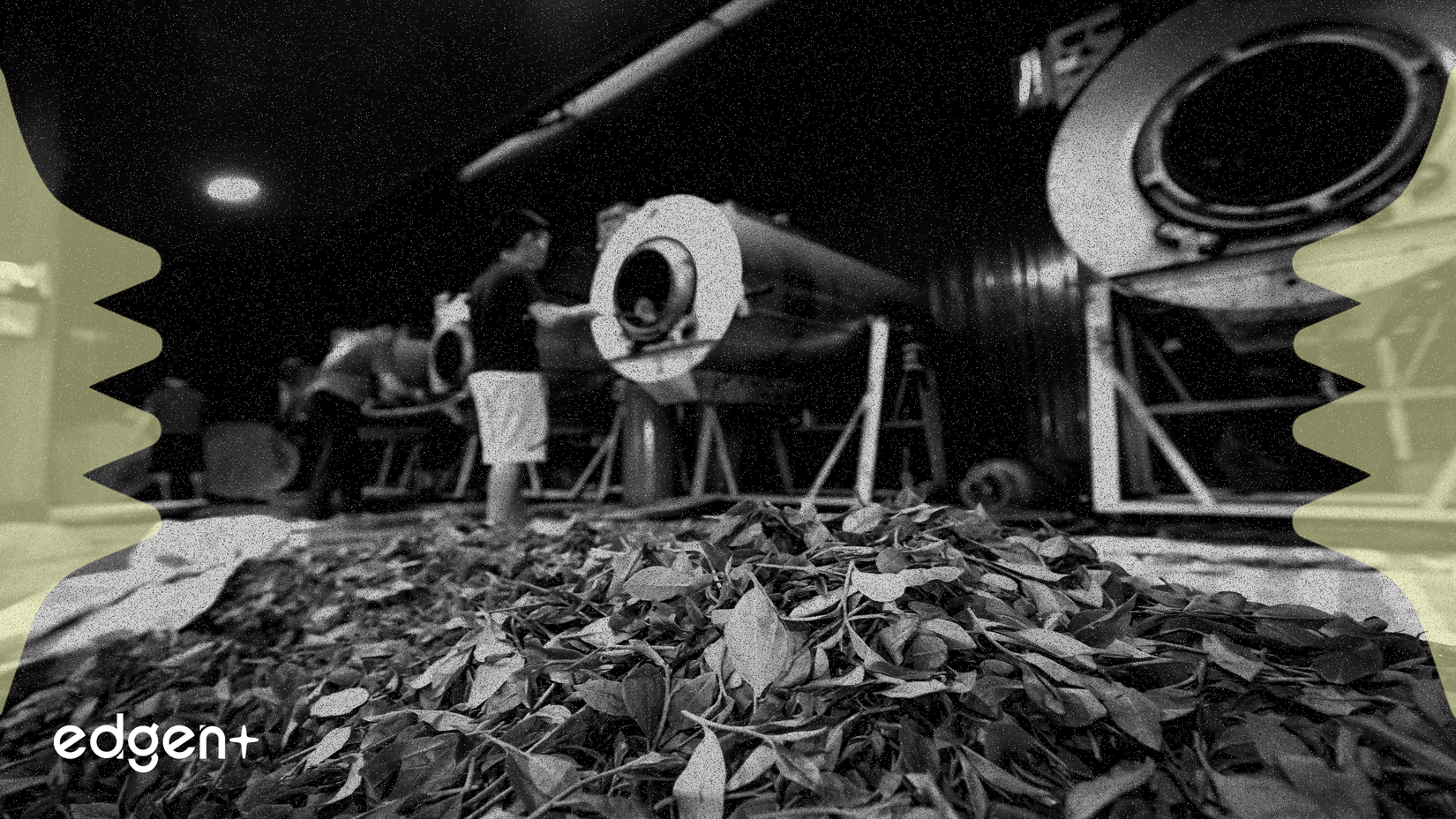 Cổ phiếu Green Thumb Industries giảm giá giữa tranh chấp lao động tại Pennsylvania