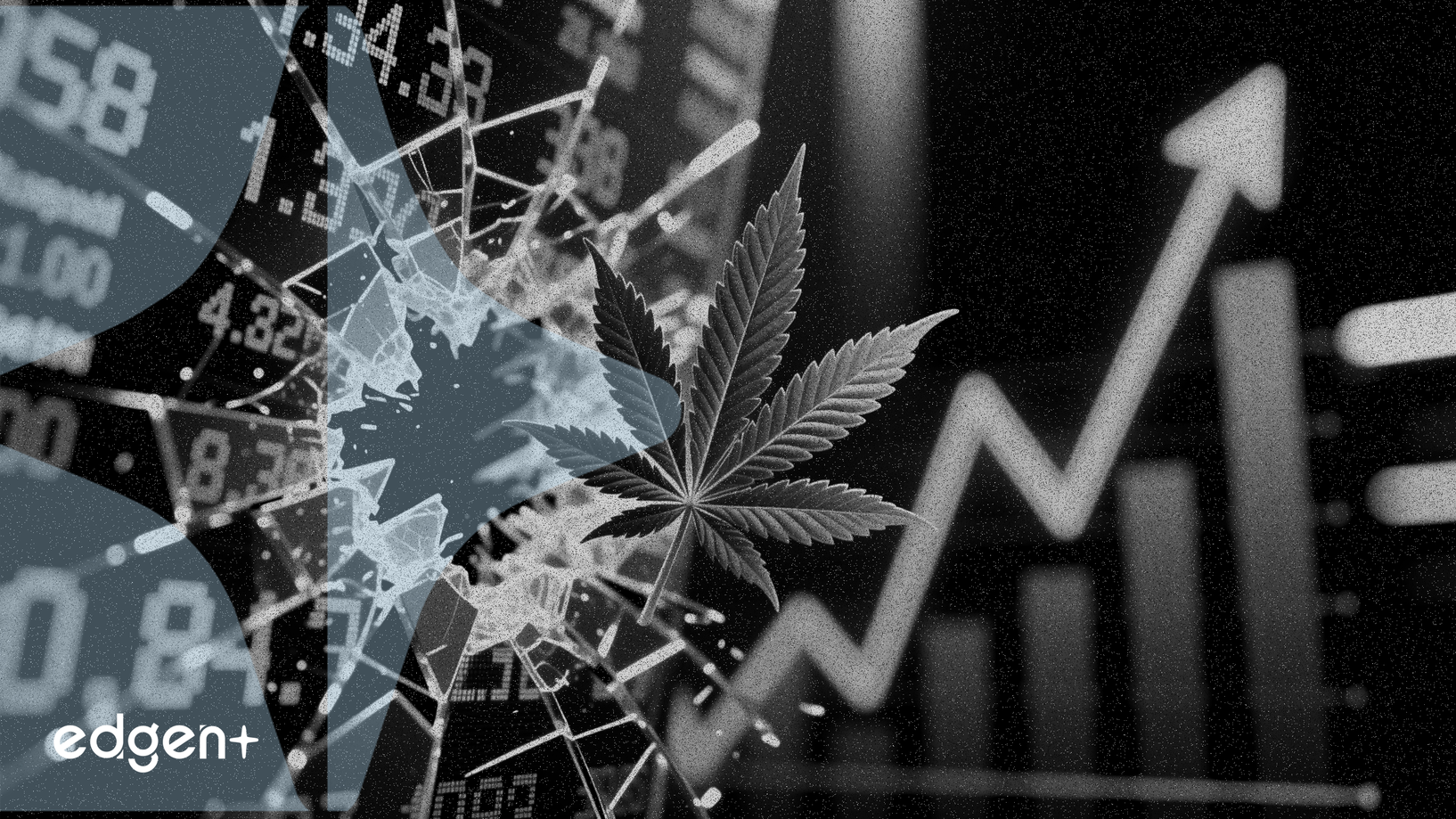 Tech Stocks Slide While Cannabis Shares Surge